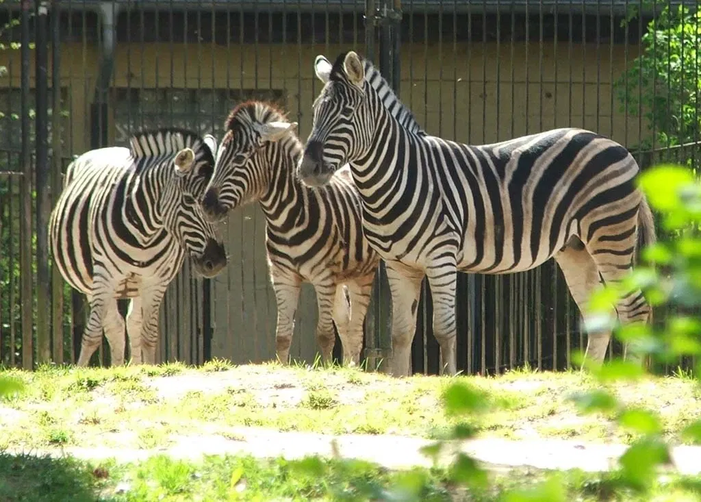 Rostock Zoo