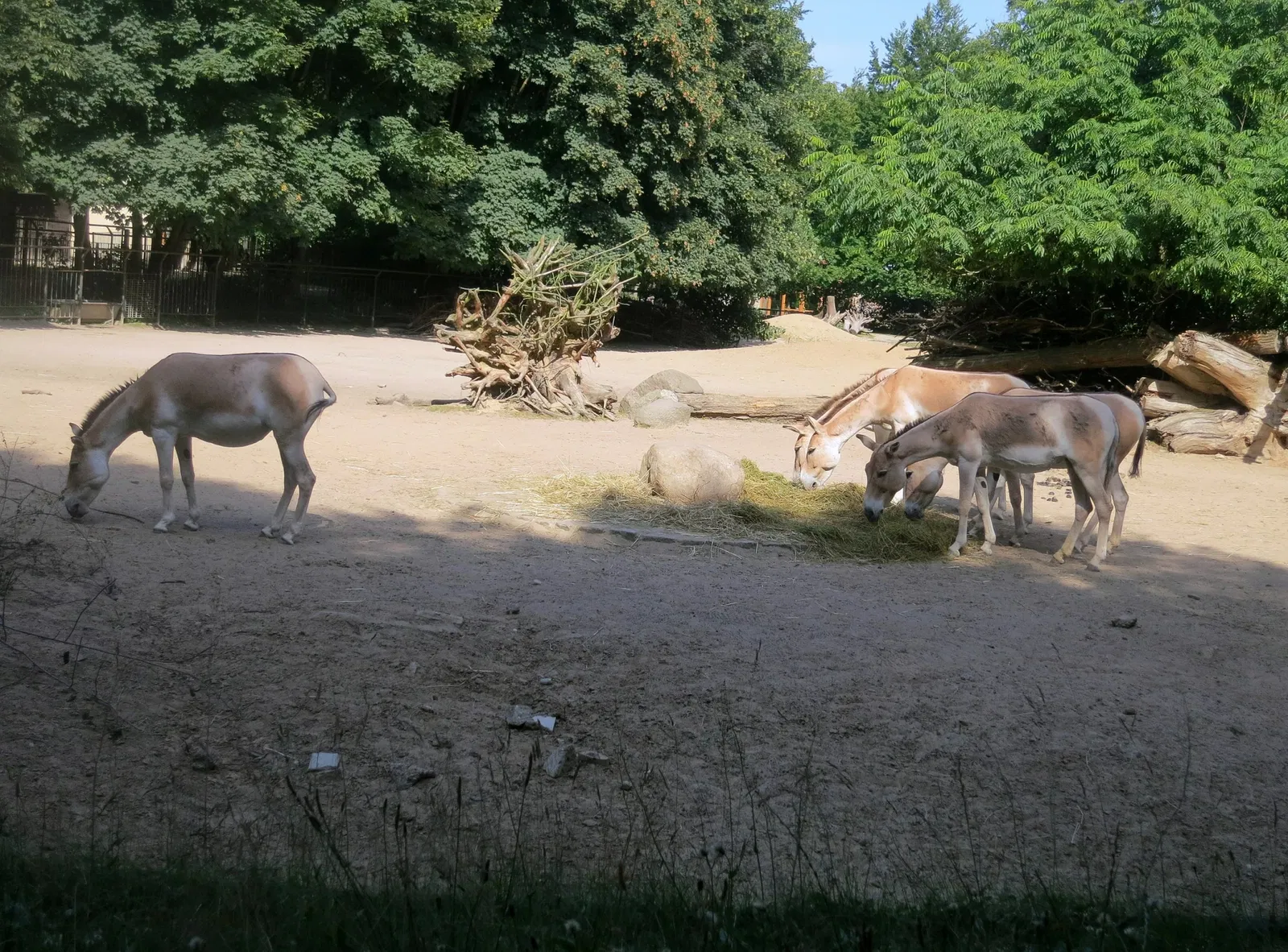 Rostock Zoo