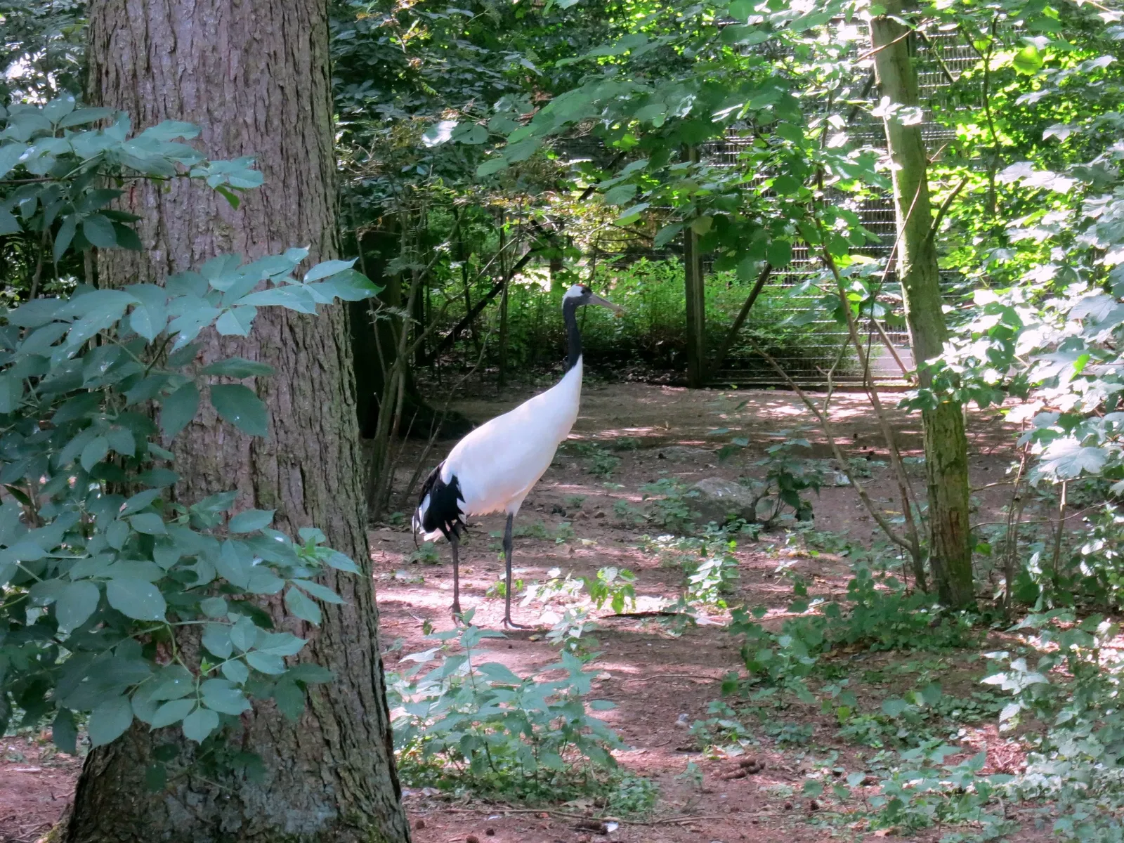 Zoologische Garten Rostock