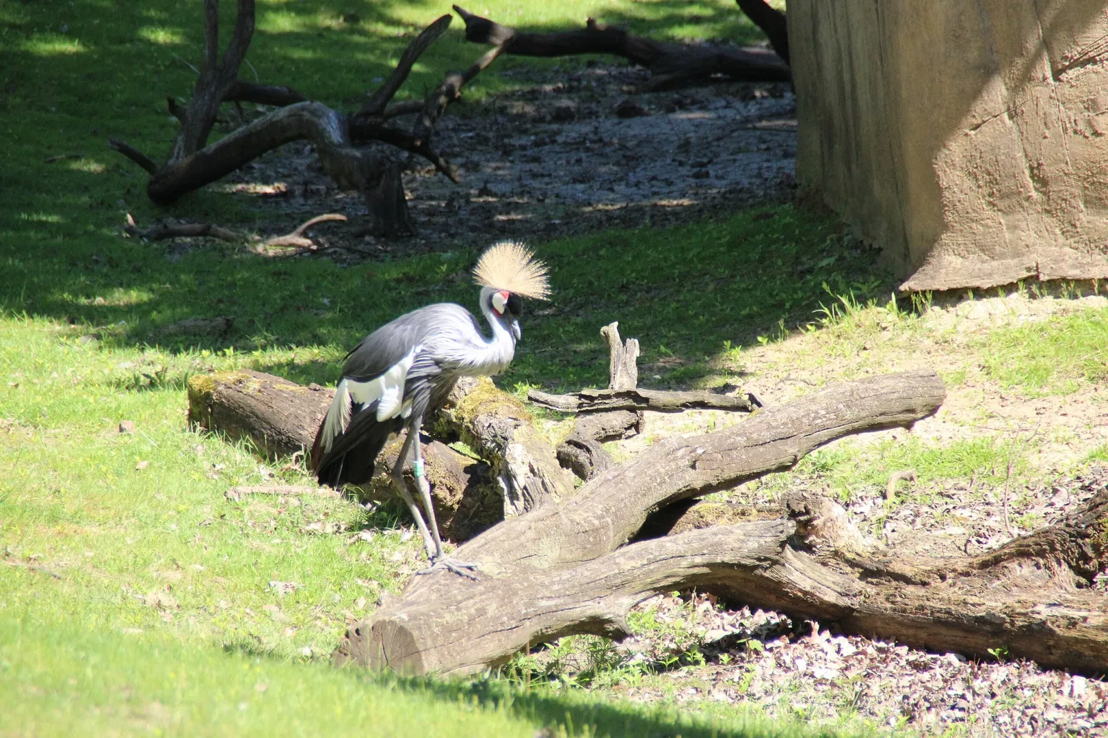 Zoologische Garten Rostock