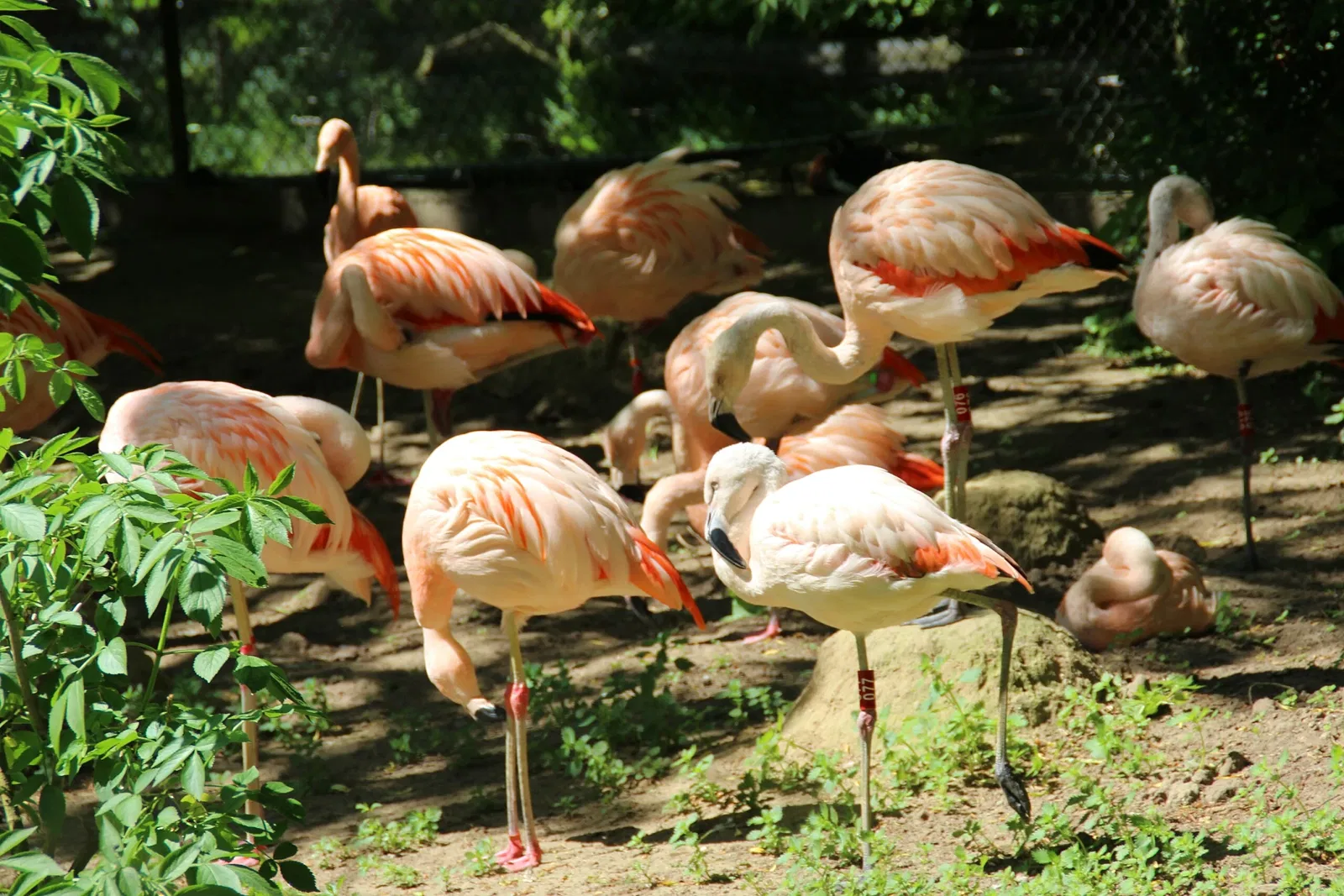 Rostock Zoo
