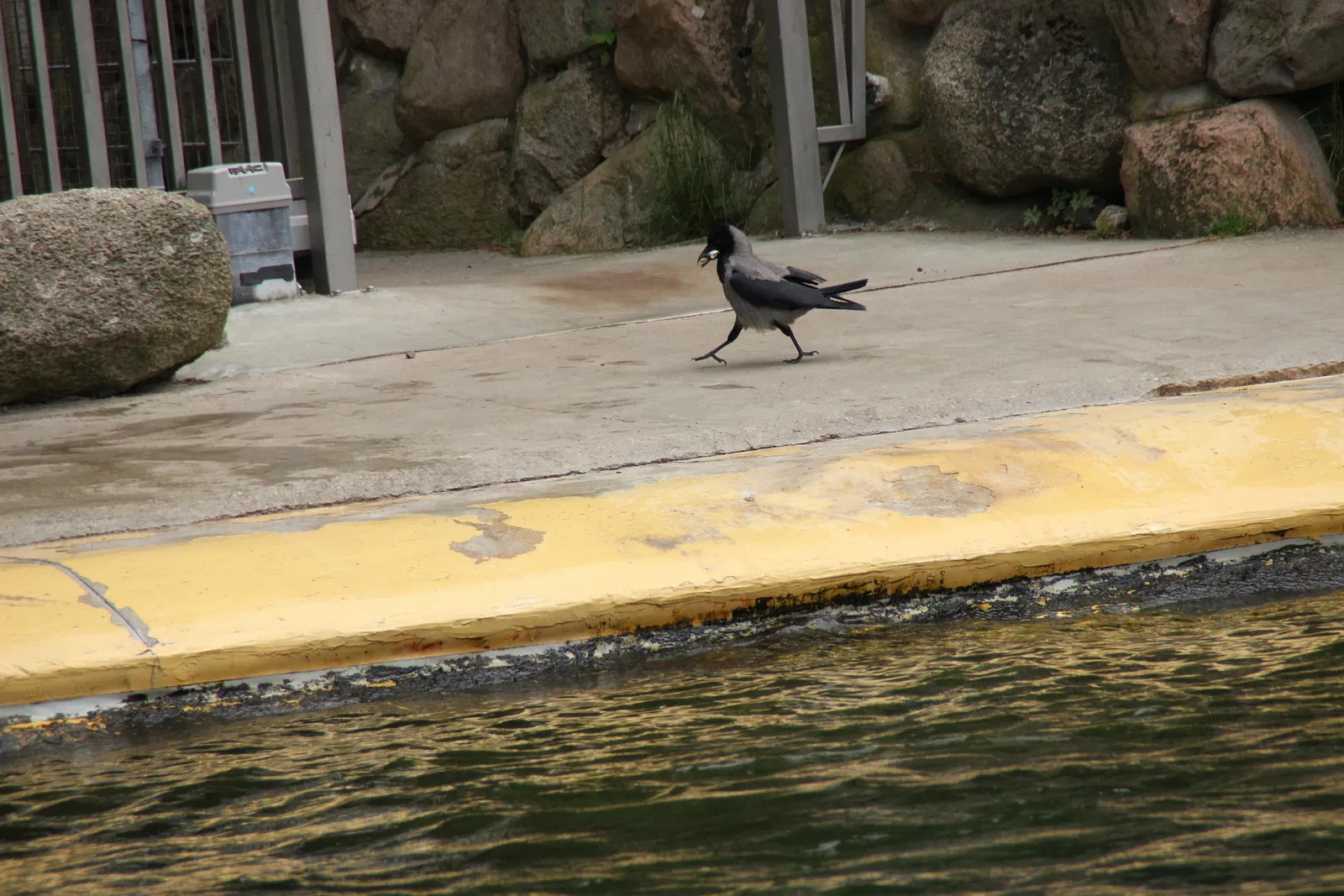 Zoologische Garten Rostock