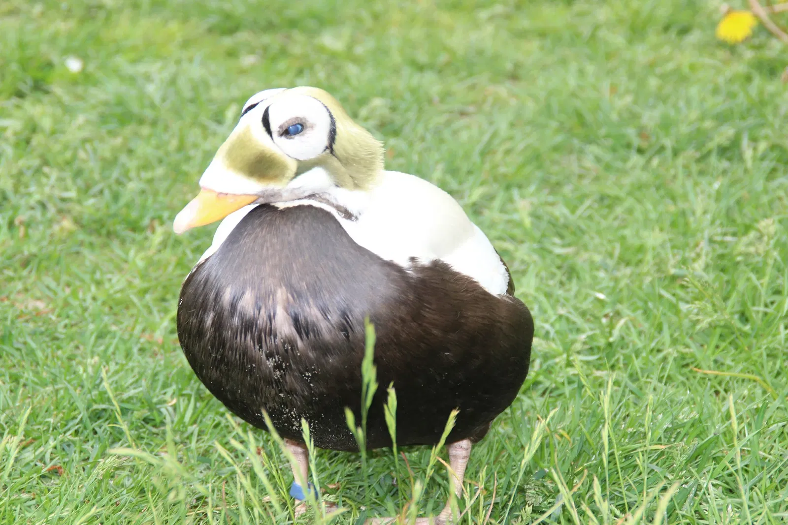 Zoologische Garten Rostock