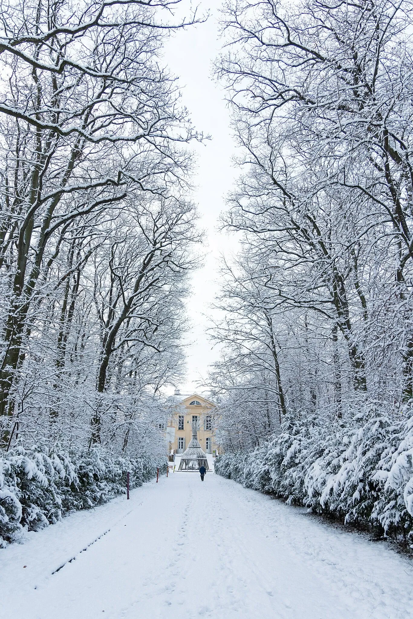 Château de Freudenberg (Hesse)