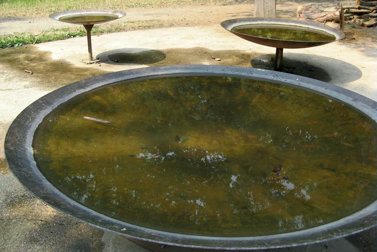 Château de Freudenberg (Hesse)