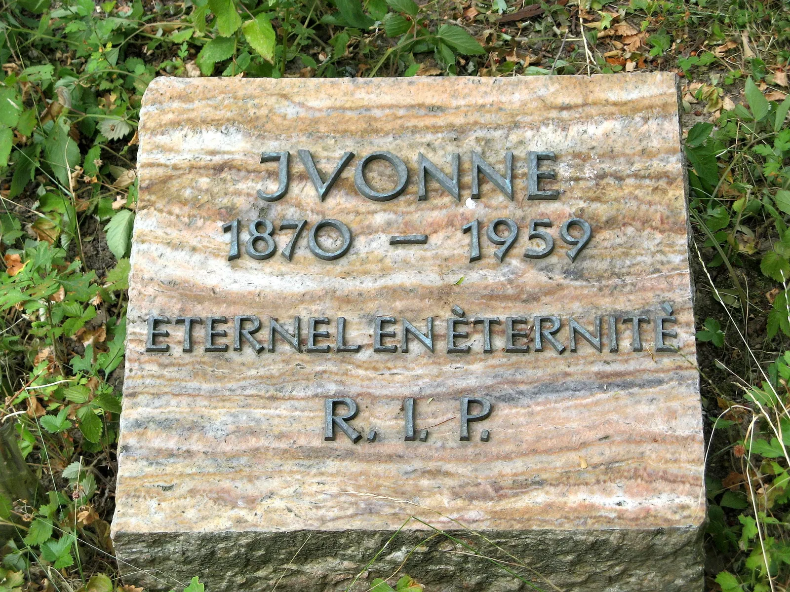 Château de Freudenberg (Hesse)