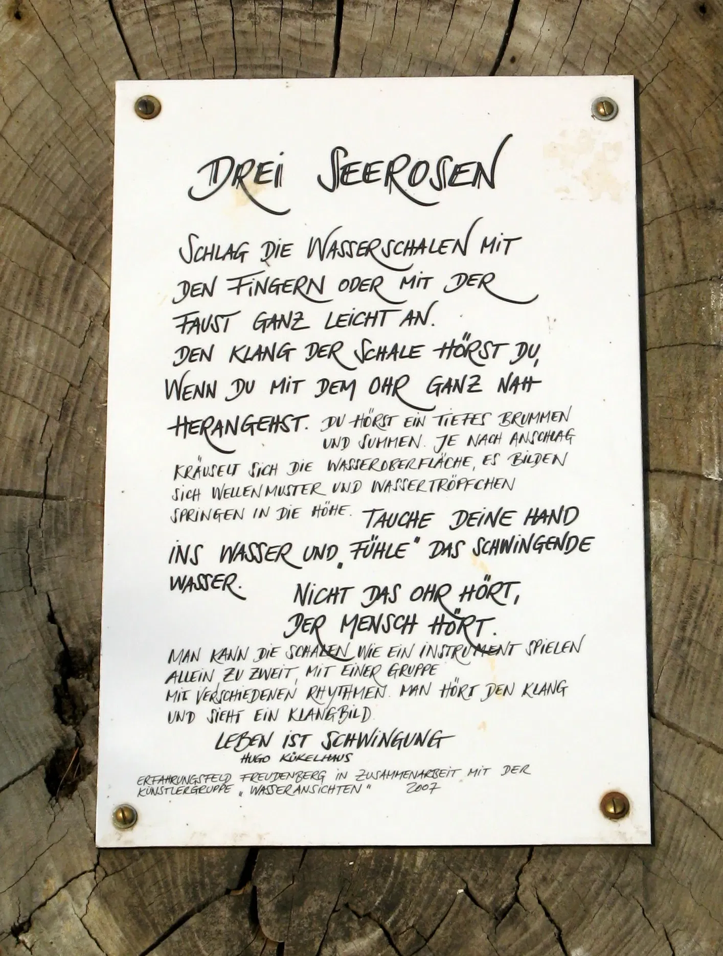 Château de Freudenberg (Hesse)