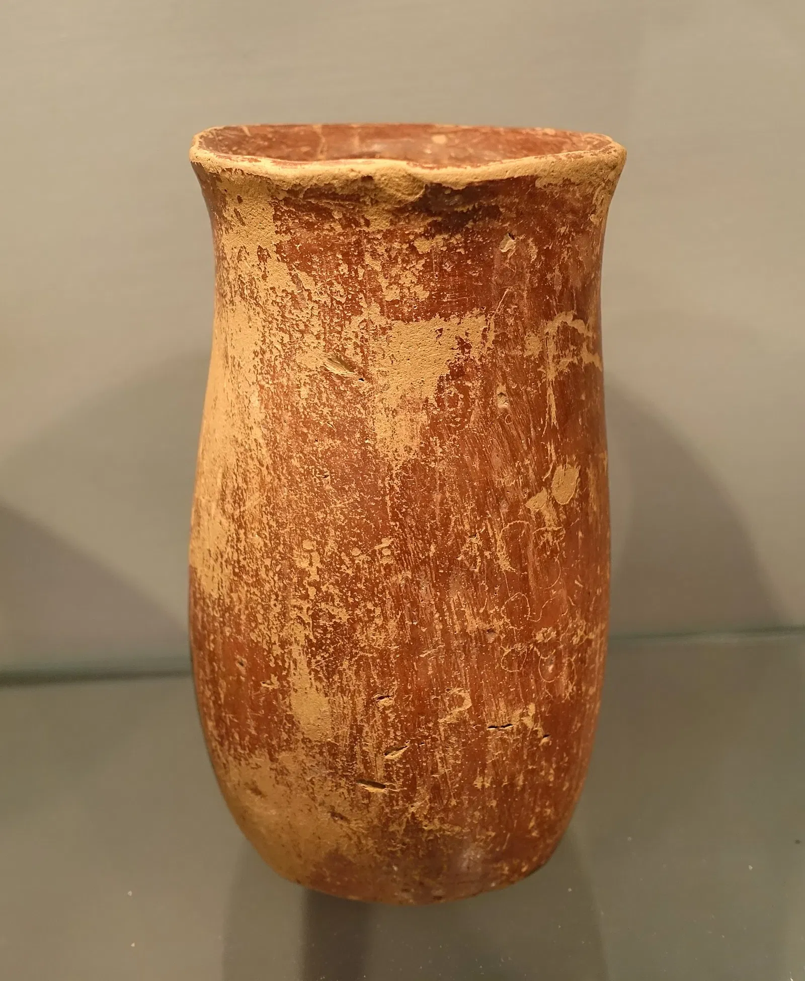 Martin von Wagner Museum