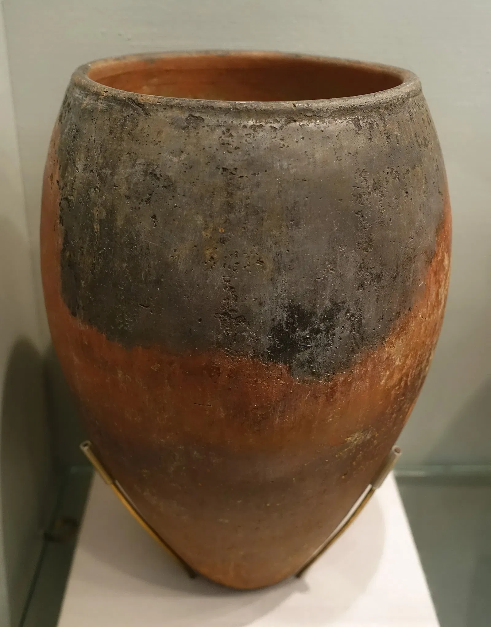 Martin von Wagner Museum