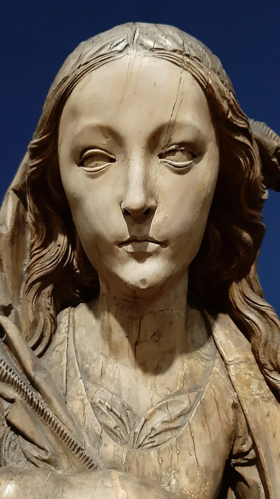 Martin von Wagner Museum