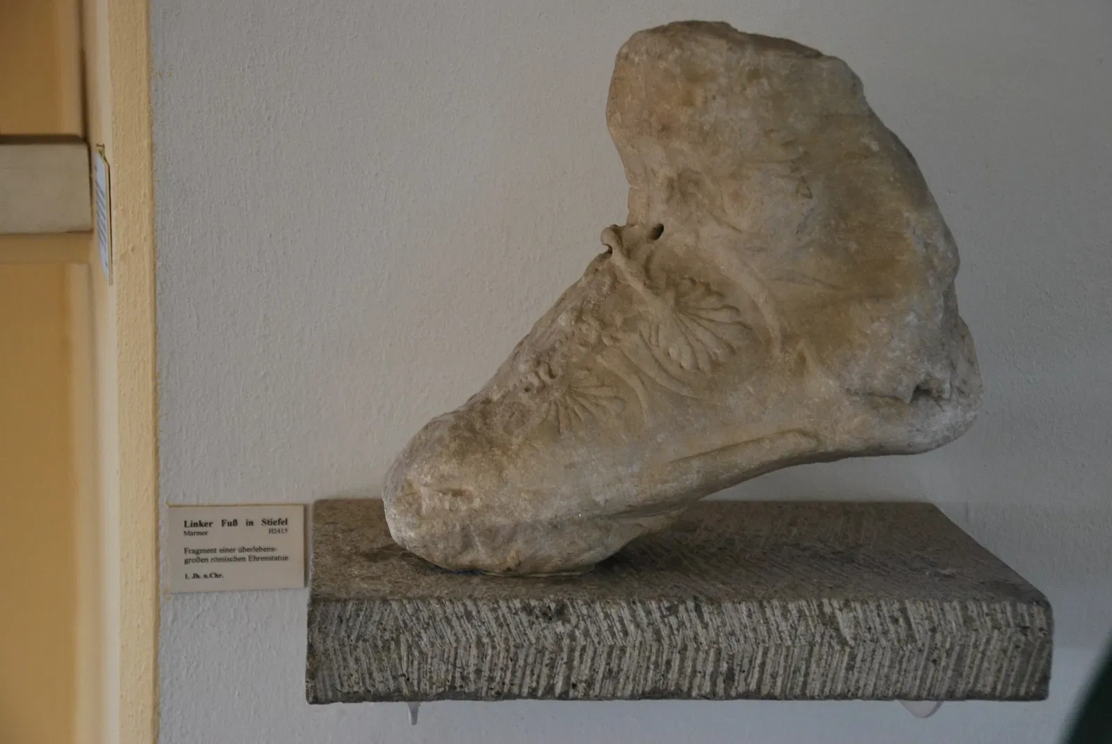 Martin von Wagner Museum