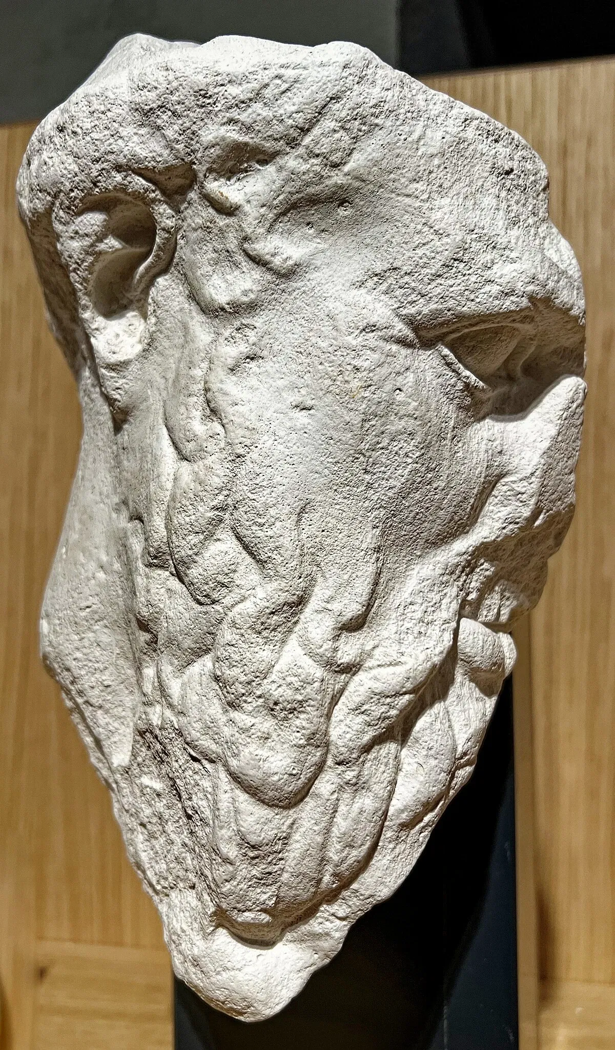 Martin von Wagner Museum