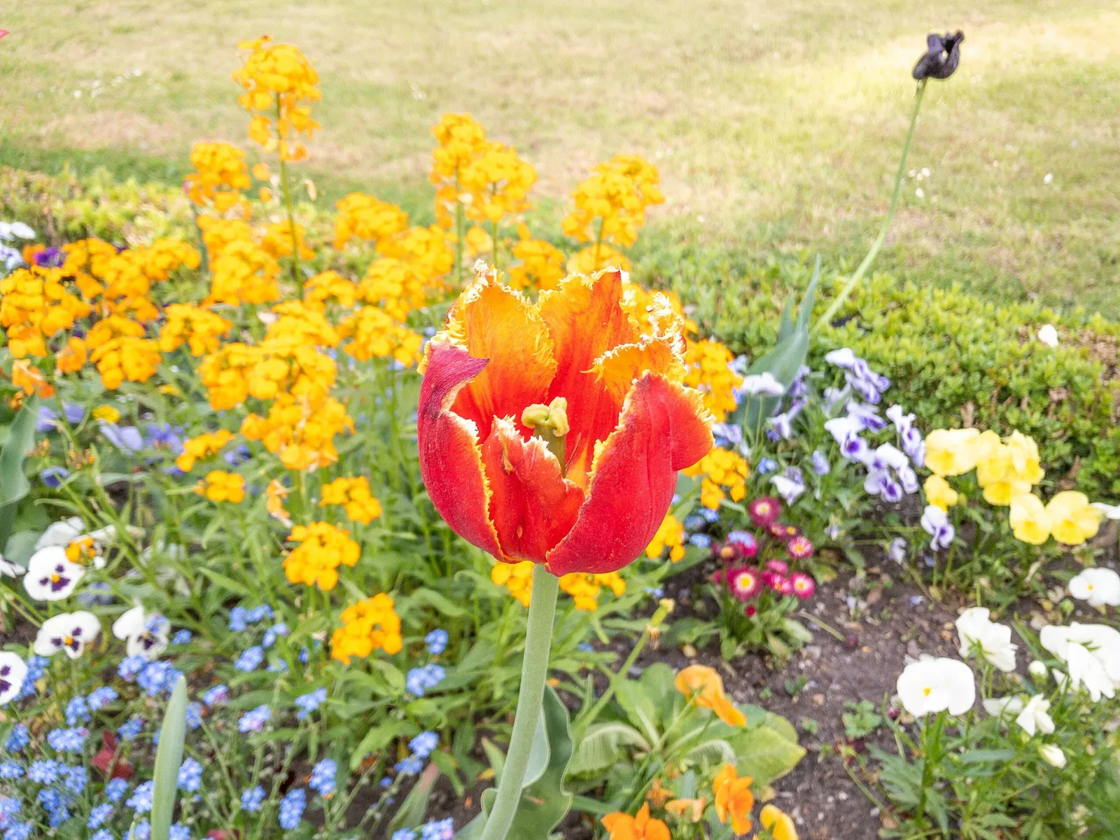 Residencia de Wurzburgo