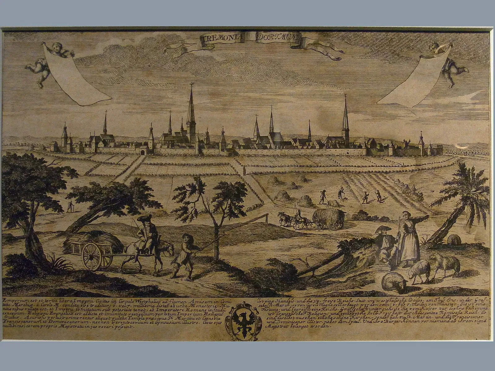 Museum für Kunst und Kulturgeschichte