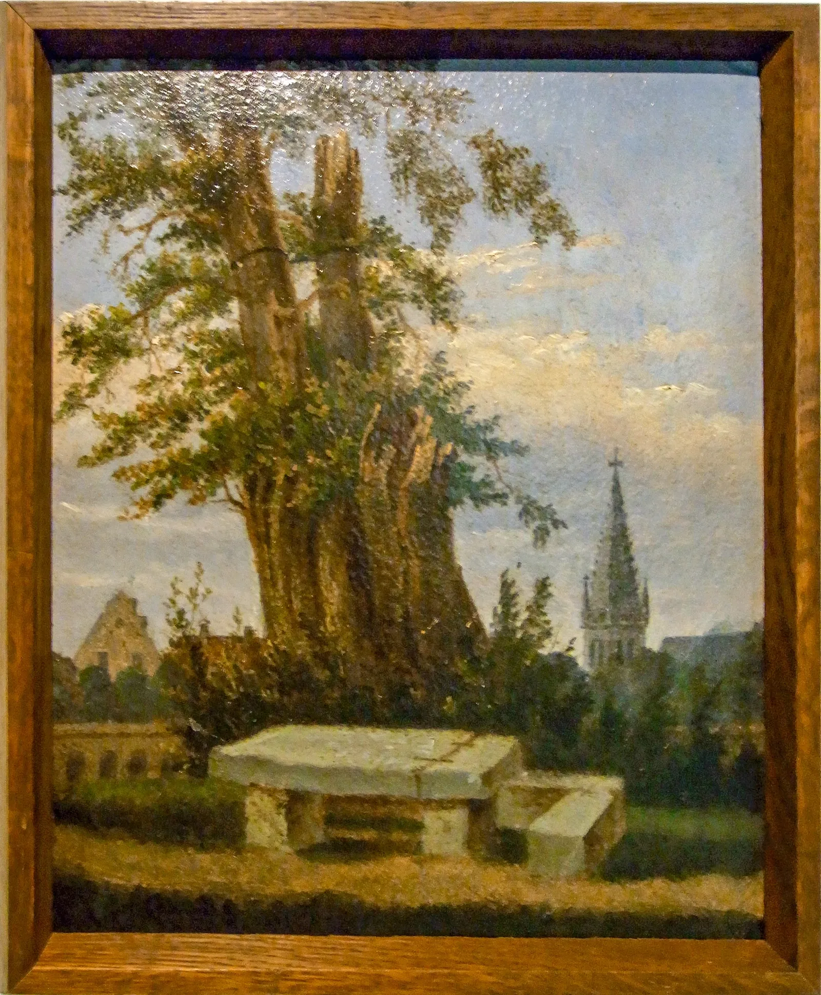 Museum of Art and Cultural History