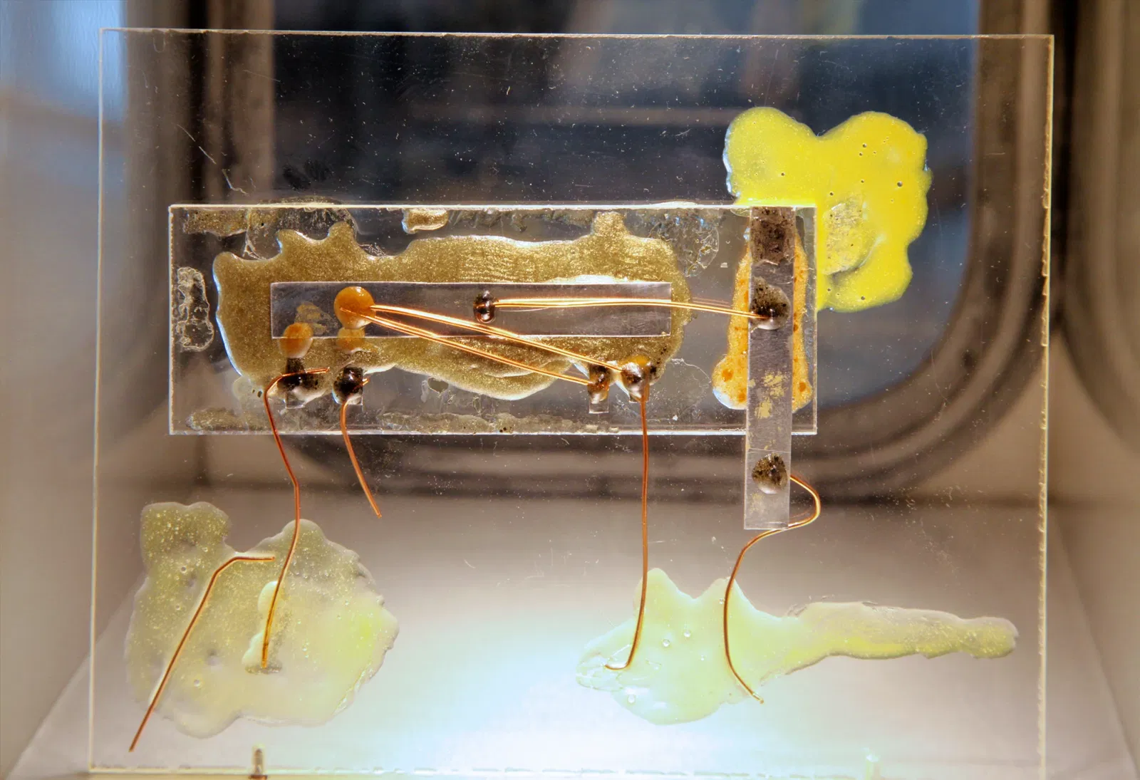 Heinz Nixdorf MuseumsForum