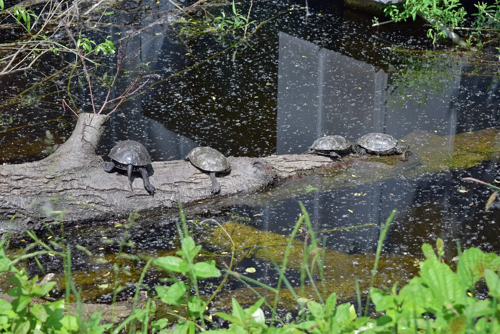Museum Niederösterreich