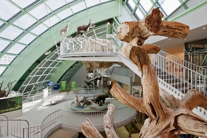 Lower Austria Museum