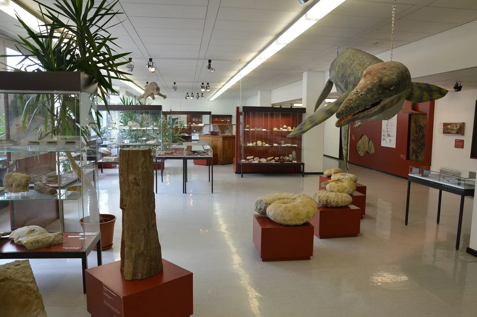 Geowissenschaftliches Museum der Universität Göttingen