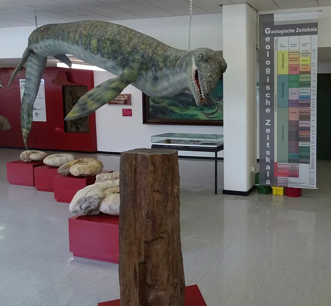 Geowissenschaftliches Museum der Universität Göttingen