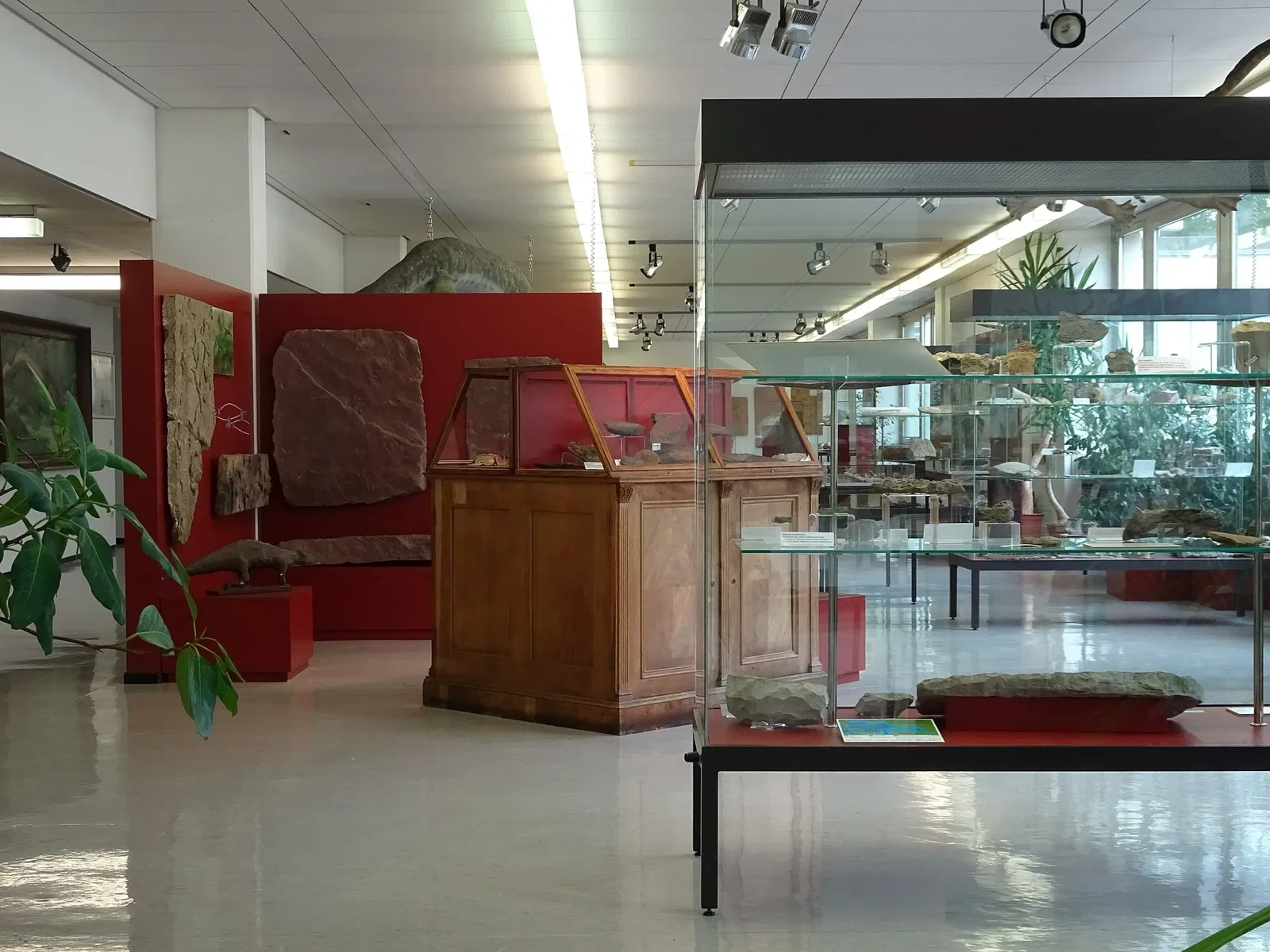 Geowissenschaftliches Museum der Universität Göttingen