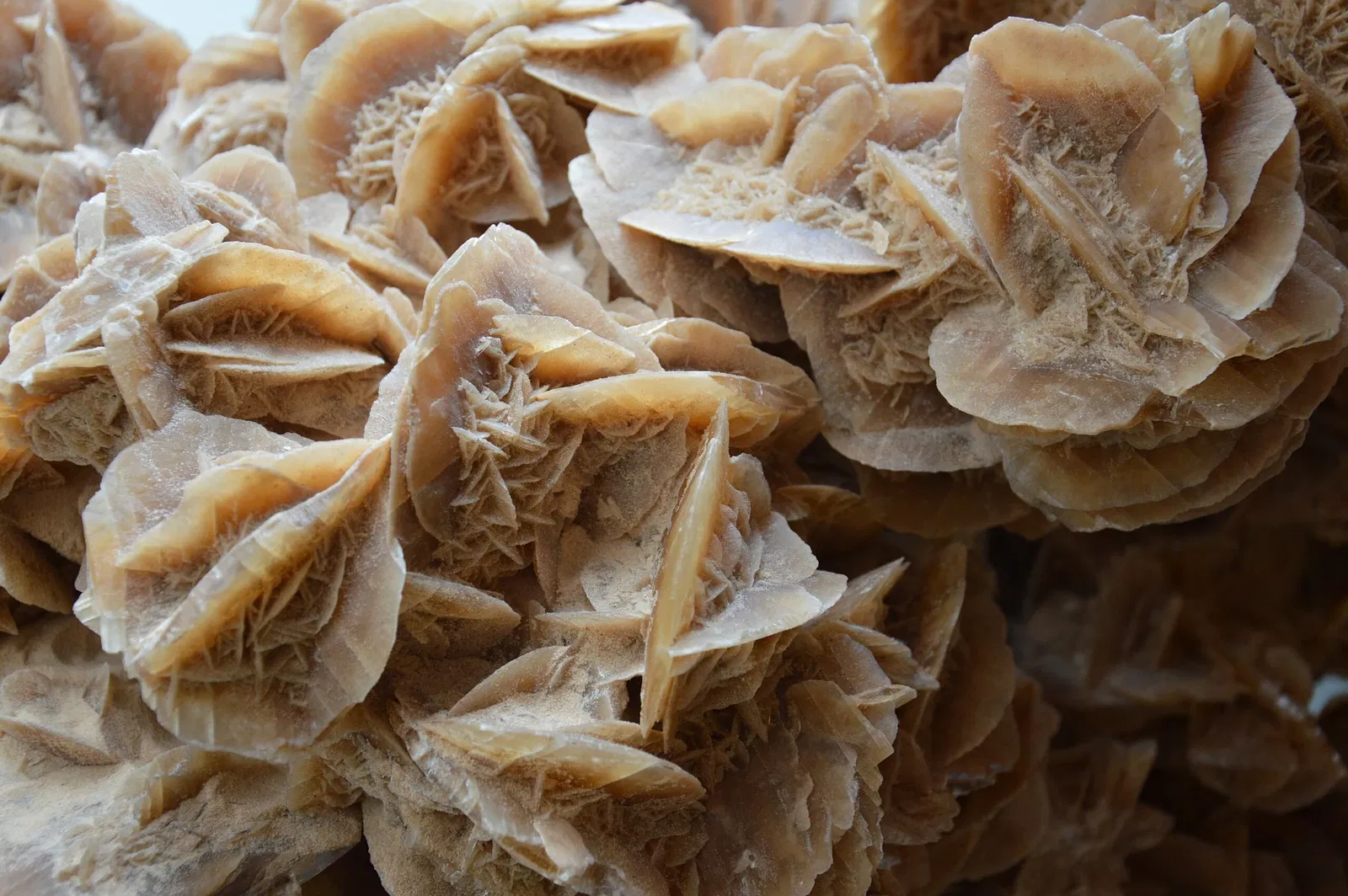 Geowissenschaftliches Museum der Universität Göttingen