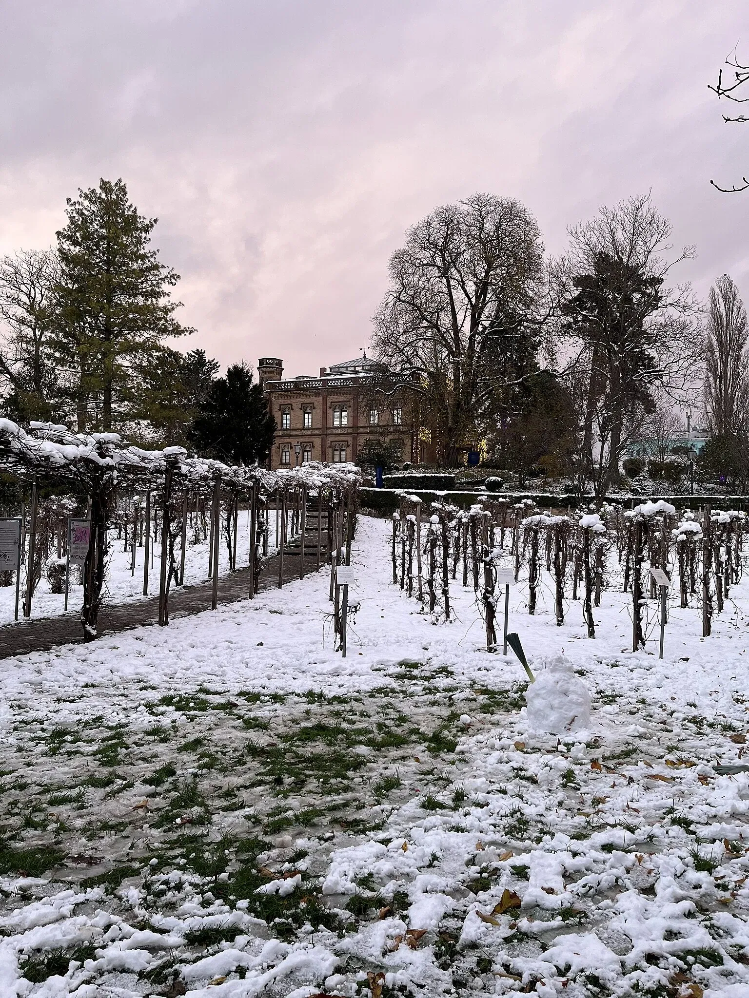 Archäologisches Museum Colombischlössle