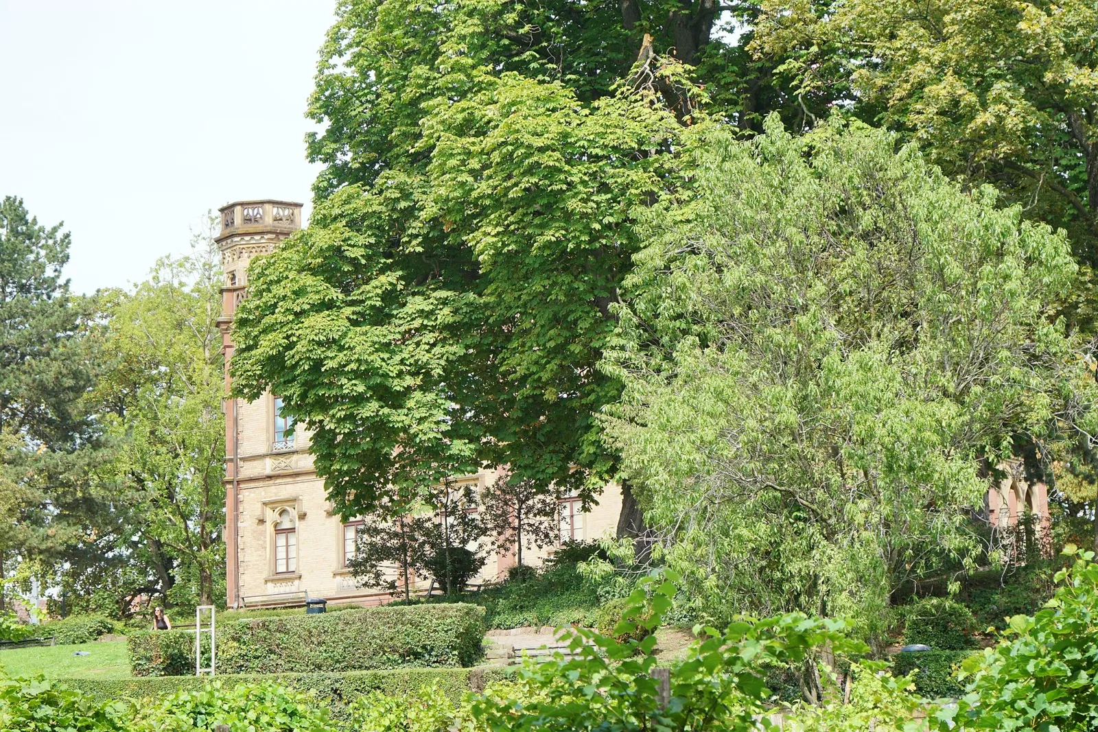 Colombischlössle Archeological Museum
