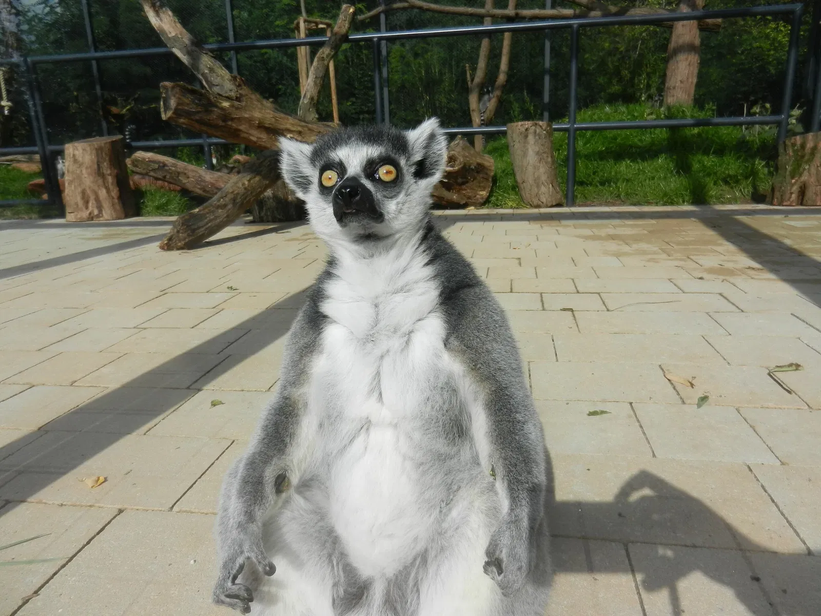 Zoologischer Garten der Landeshauptstadt Saarbrücken