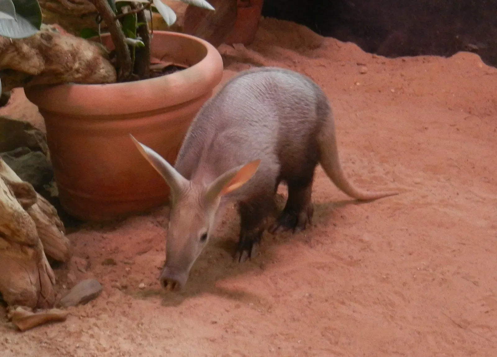 Zoologischer Garten der Landeshauptstadt Saarbrücken