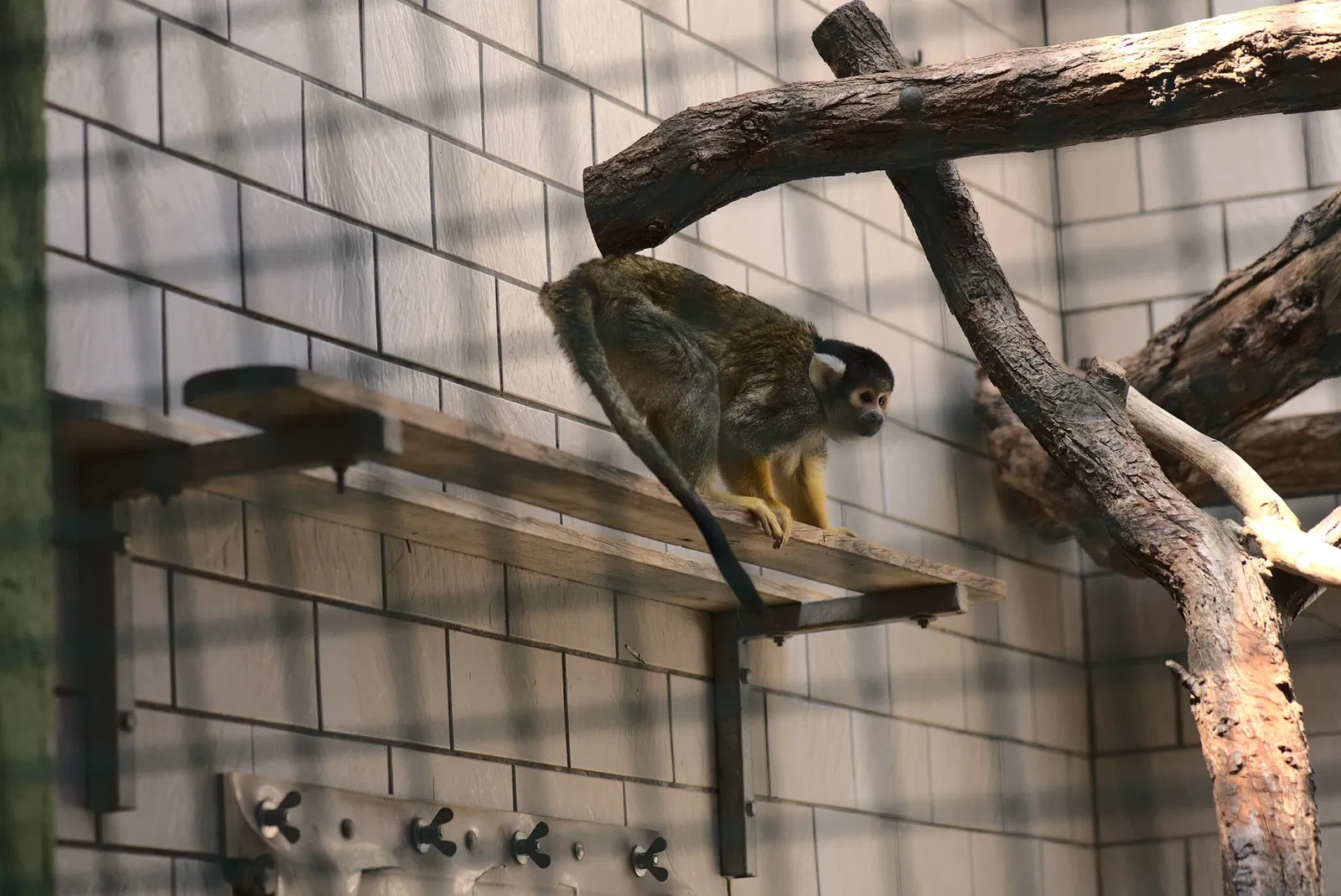Zoologischer Garten der Landeshauptstadt Saarbrücken