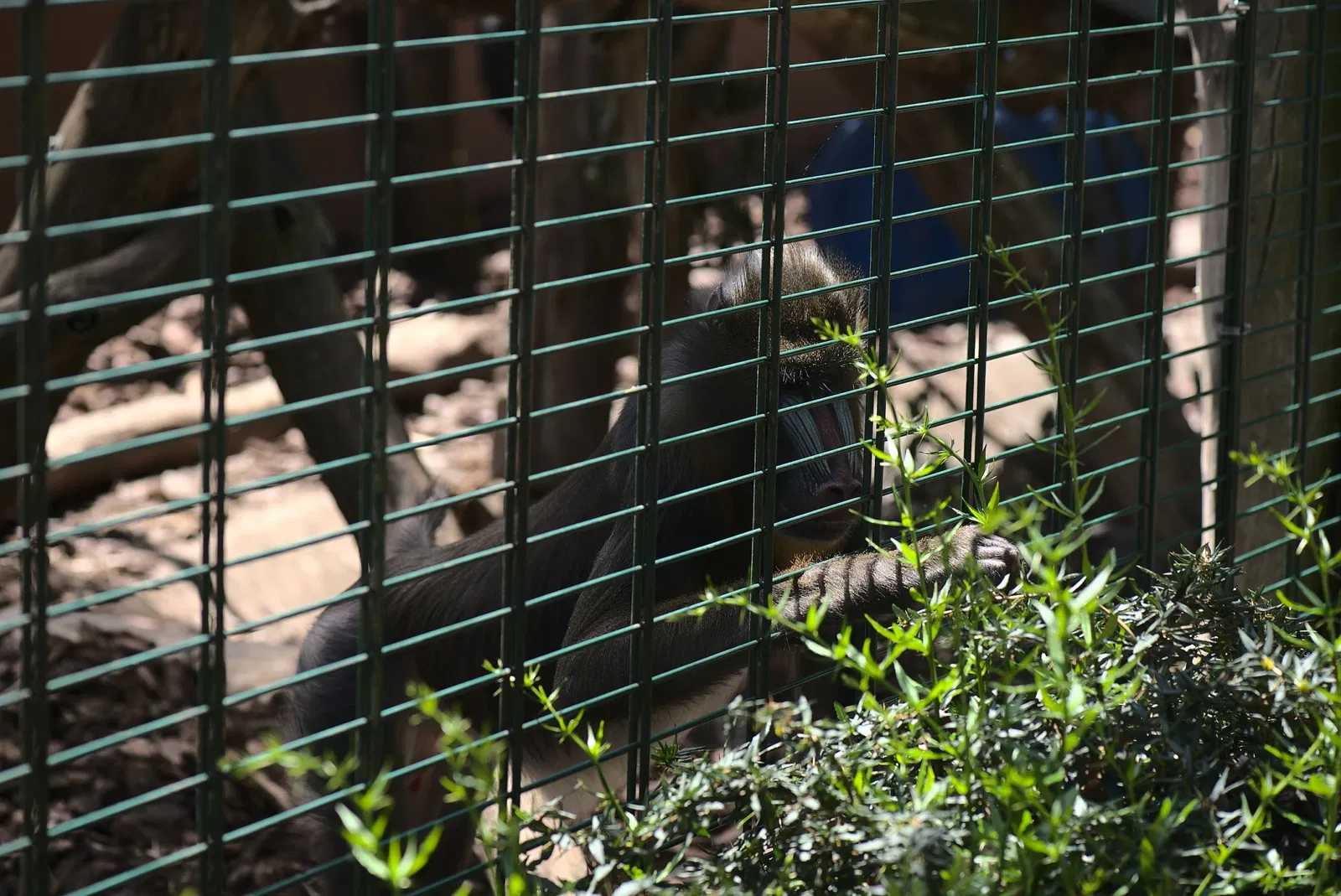 Zoologischer Garten der Landeshauptstadt Saarbrücken