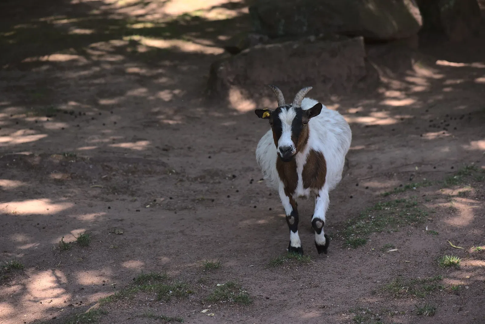 Zoologischer Garten der Landeshauptstadt Saarbrücken