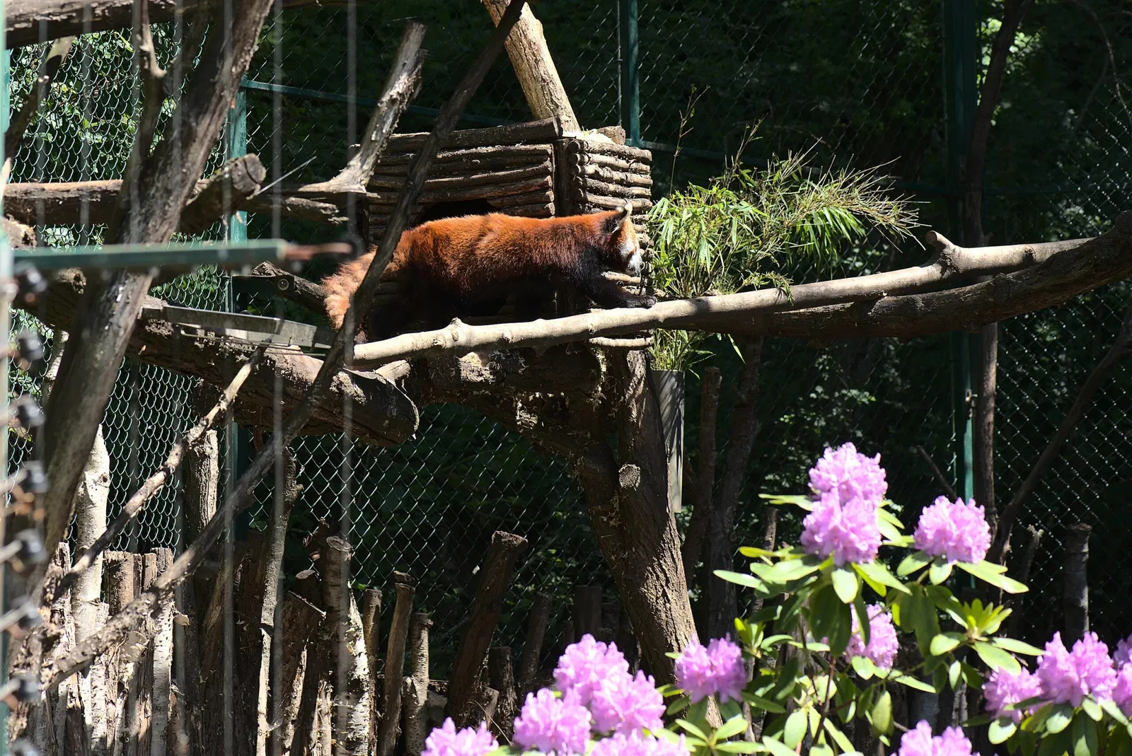 Zoo de Sarrebruck