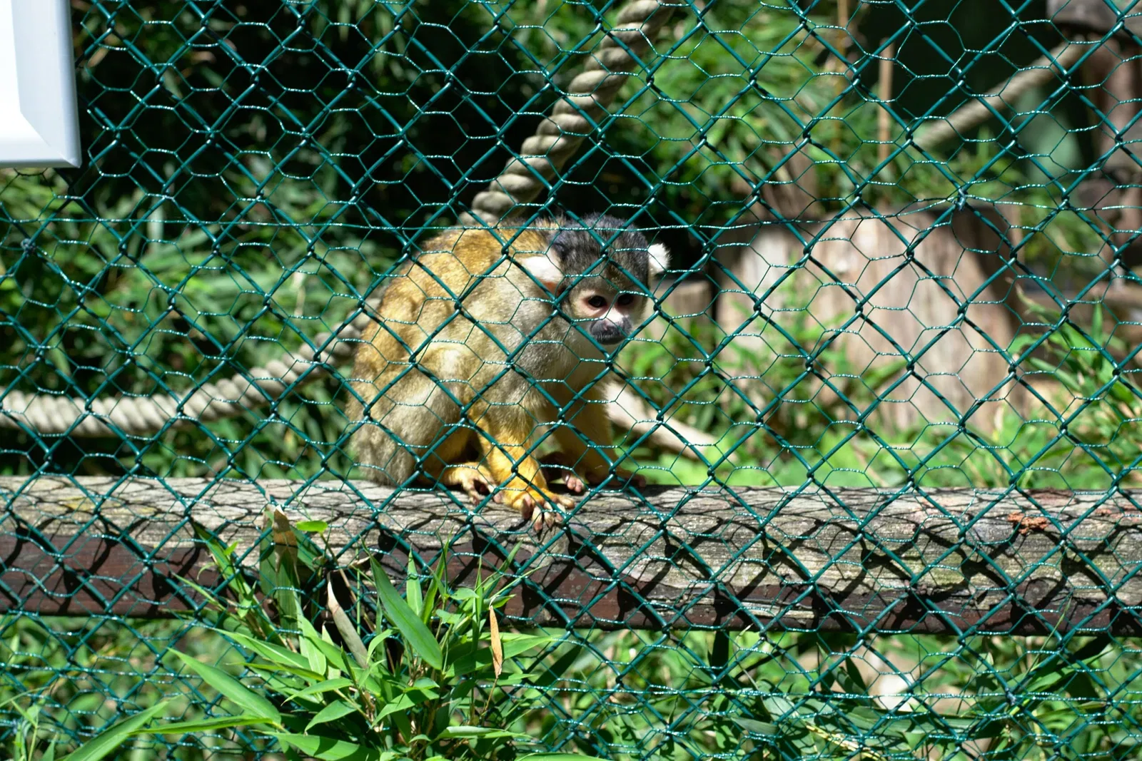 Zoo de Sarrebruck