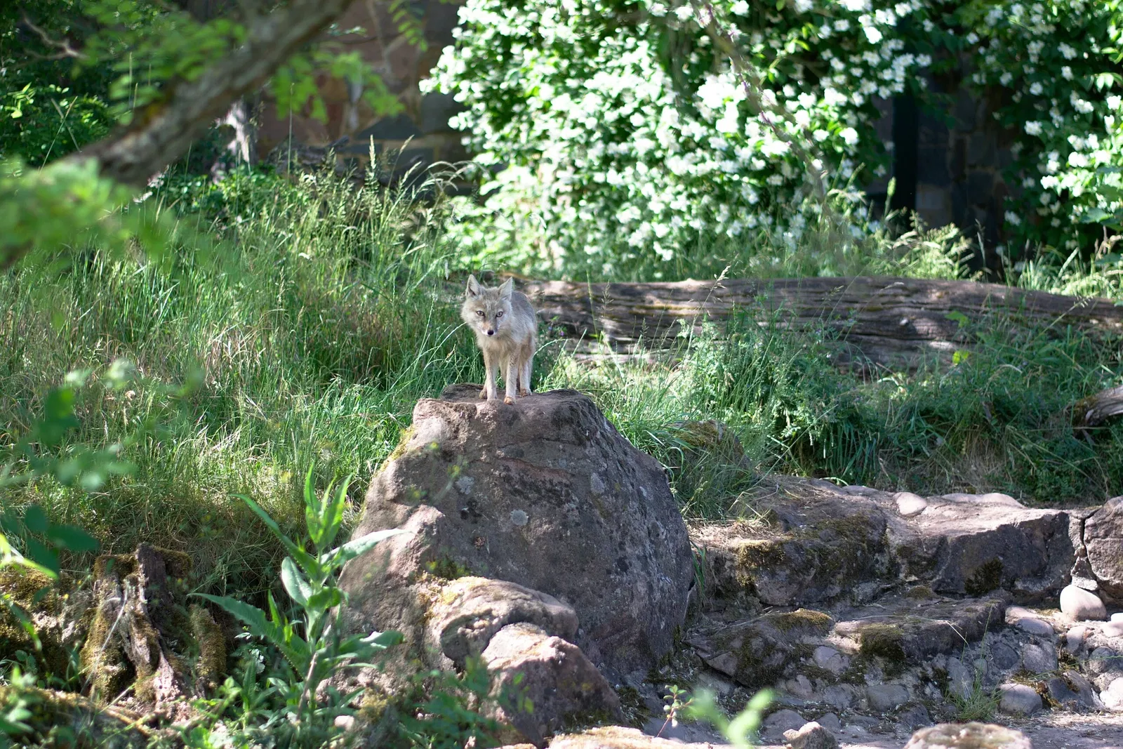 Zoologischer Garten der Landeshauptstadt Saarbrücken