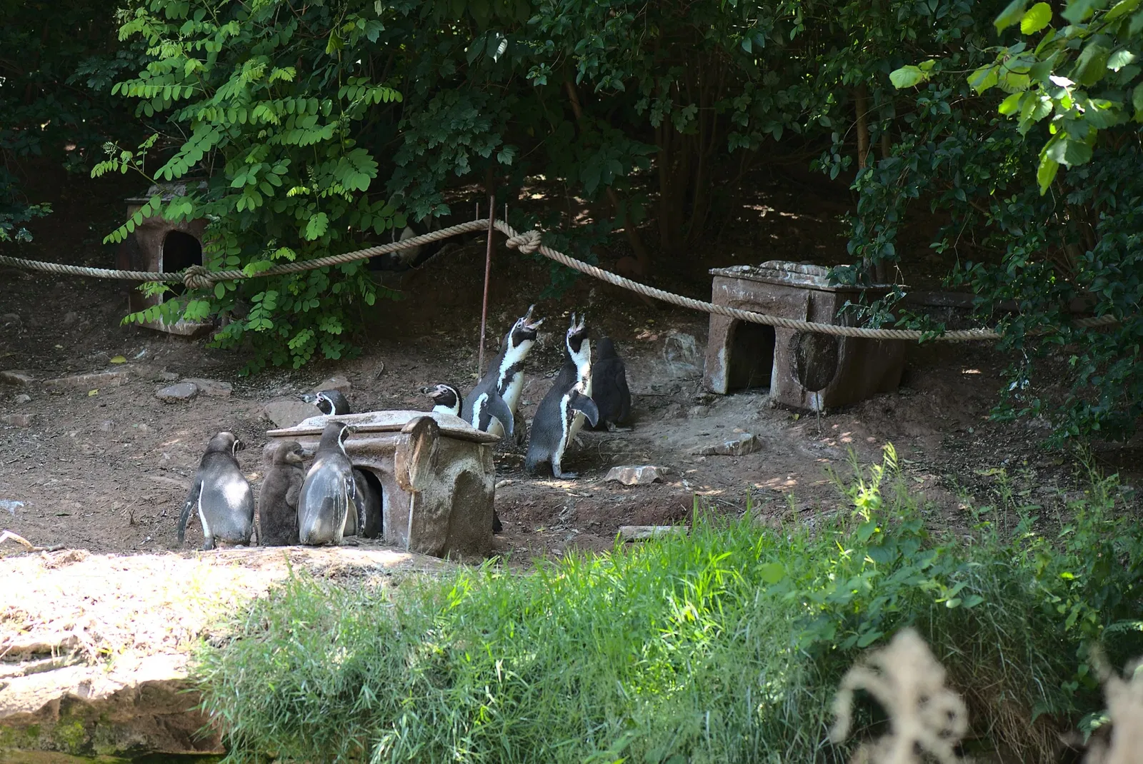 Zoo de Sarrebruck