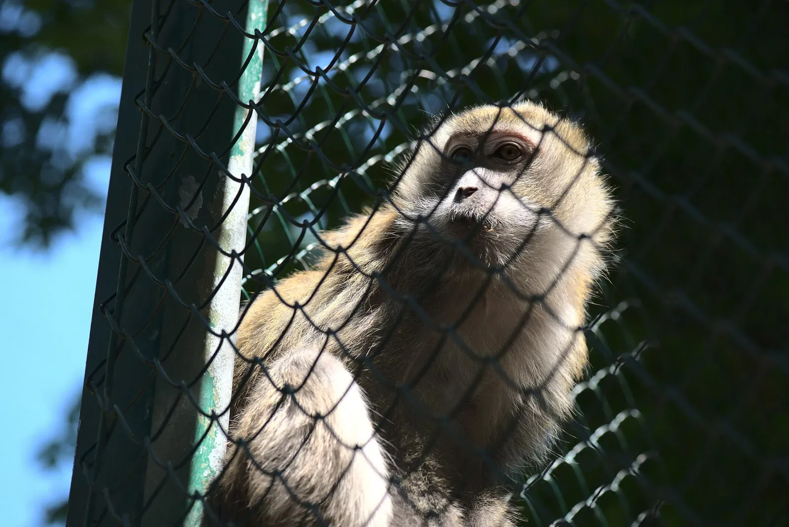 Zoologischer Garten der Landeshauptstadt Saarbrücken