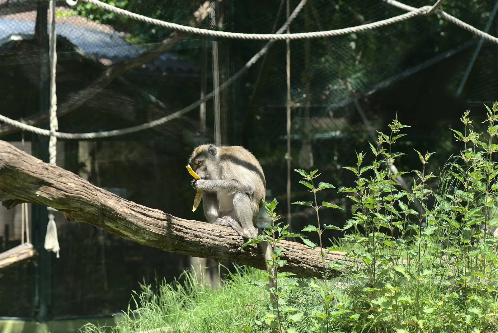 Zoologischer Garten der Landeshauptstadt Saarbrücken