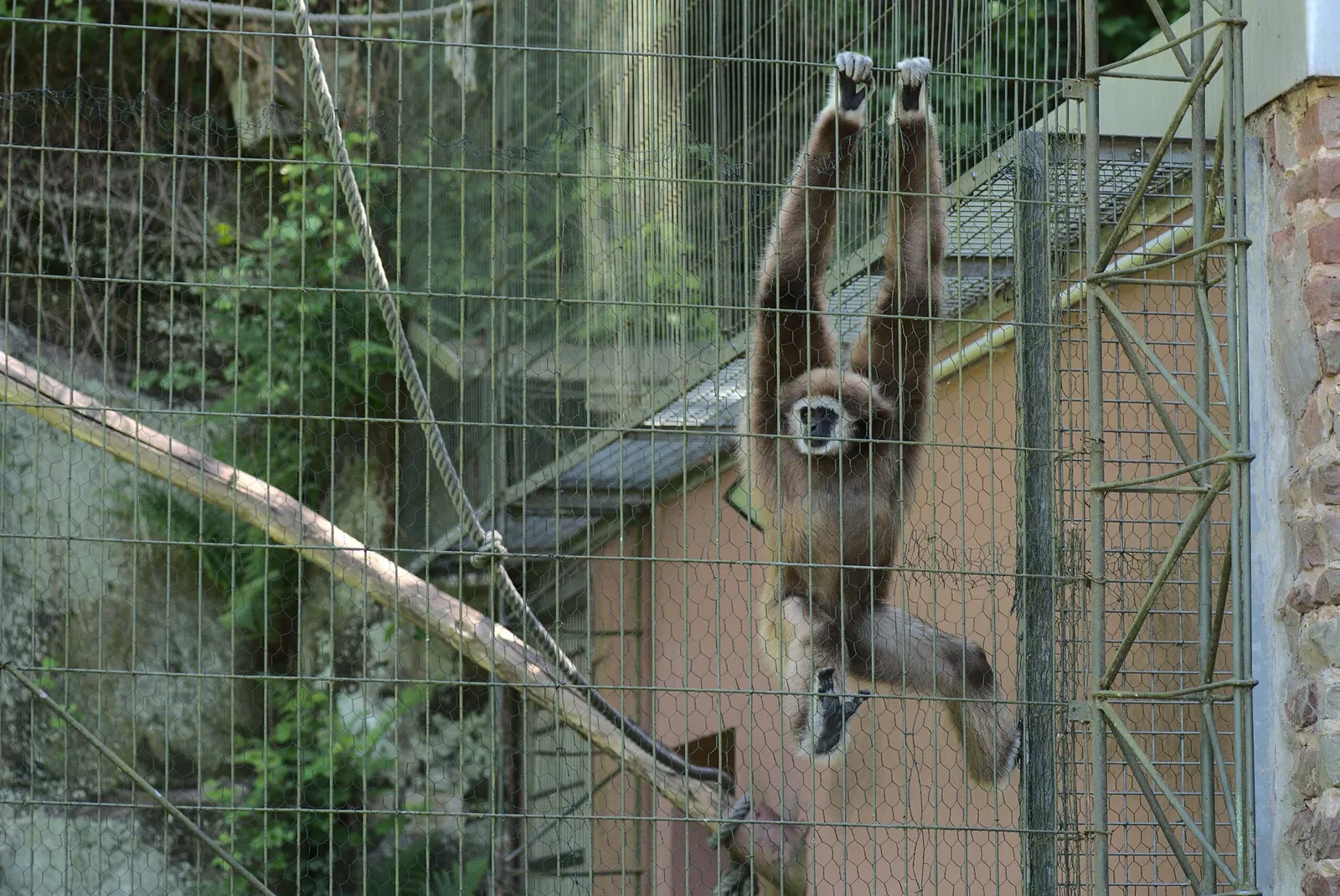 Zoo di Saarbrücker