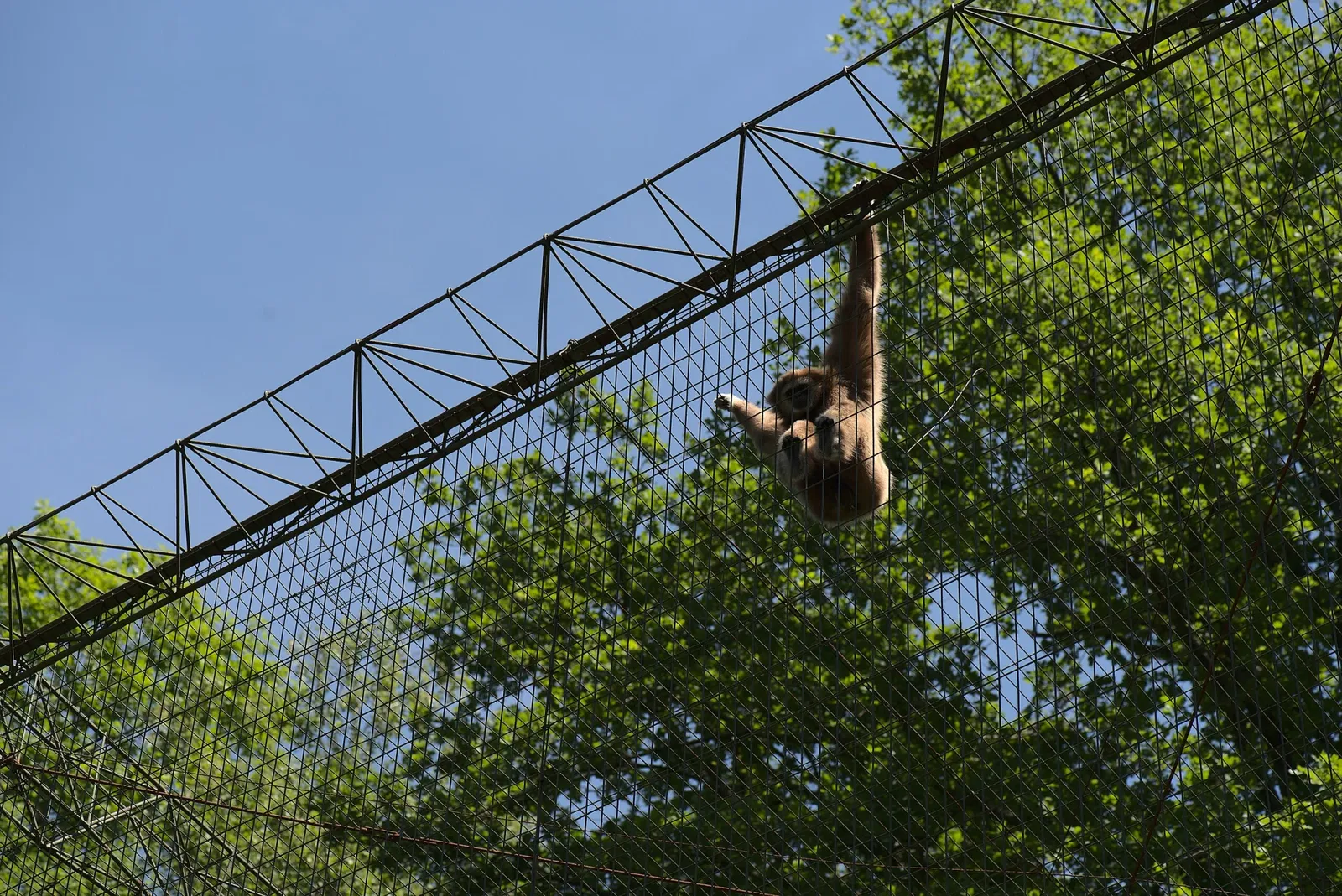 Zoologischer Garten der Landeshauptstadt Saarbrücken