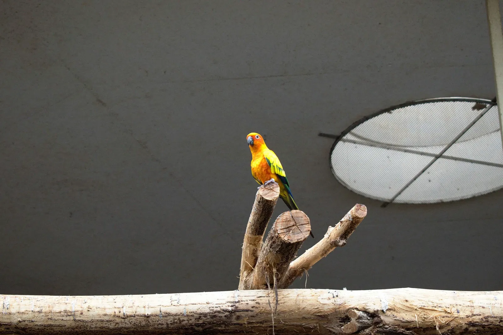 Zoologischer Garten der Landeshauptstadt Saarbrücken