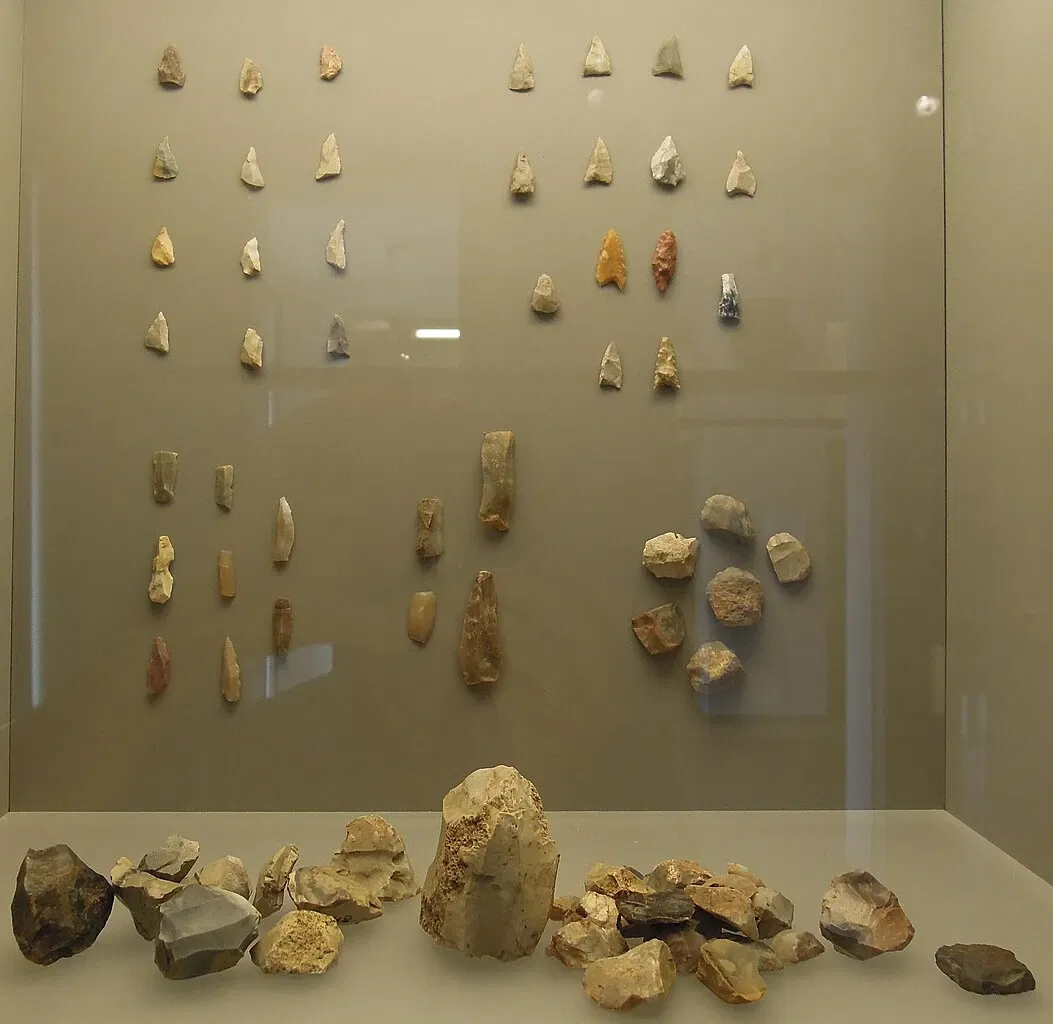 Museum für Vor- und Frühgeschichte