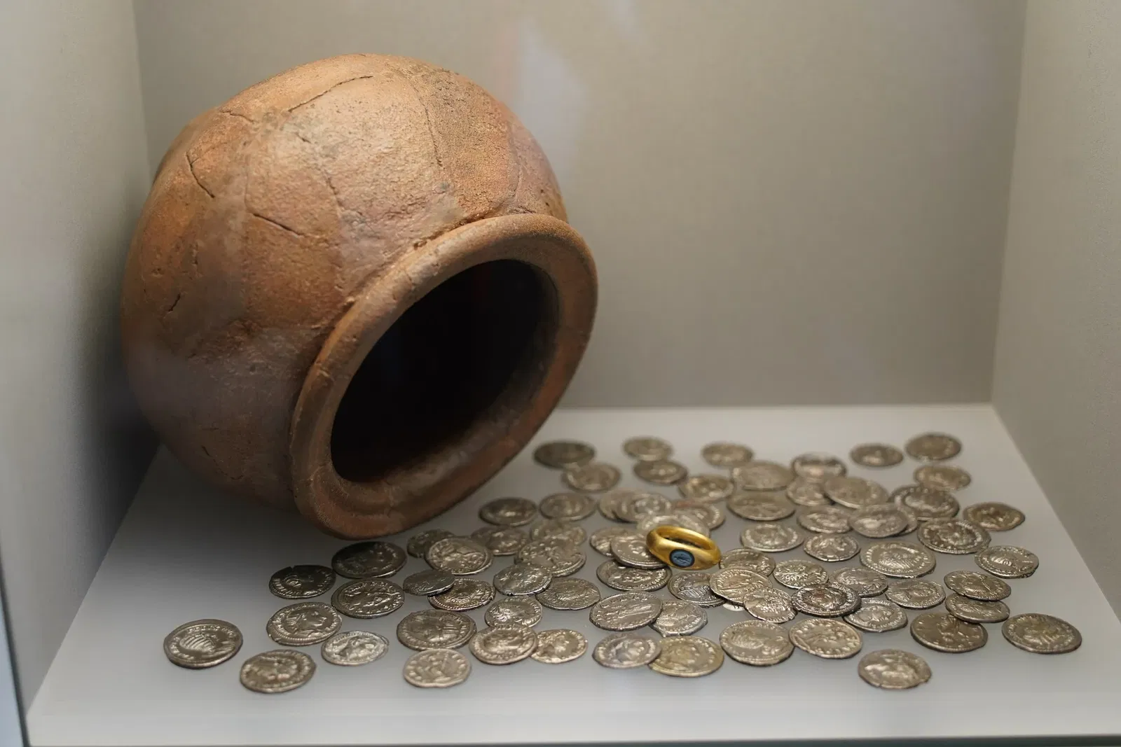 Museum für Vor- und Frühgeschichte