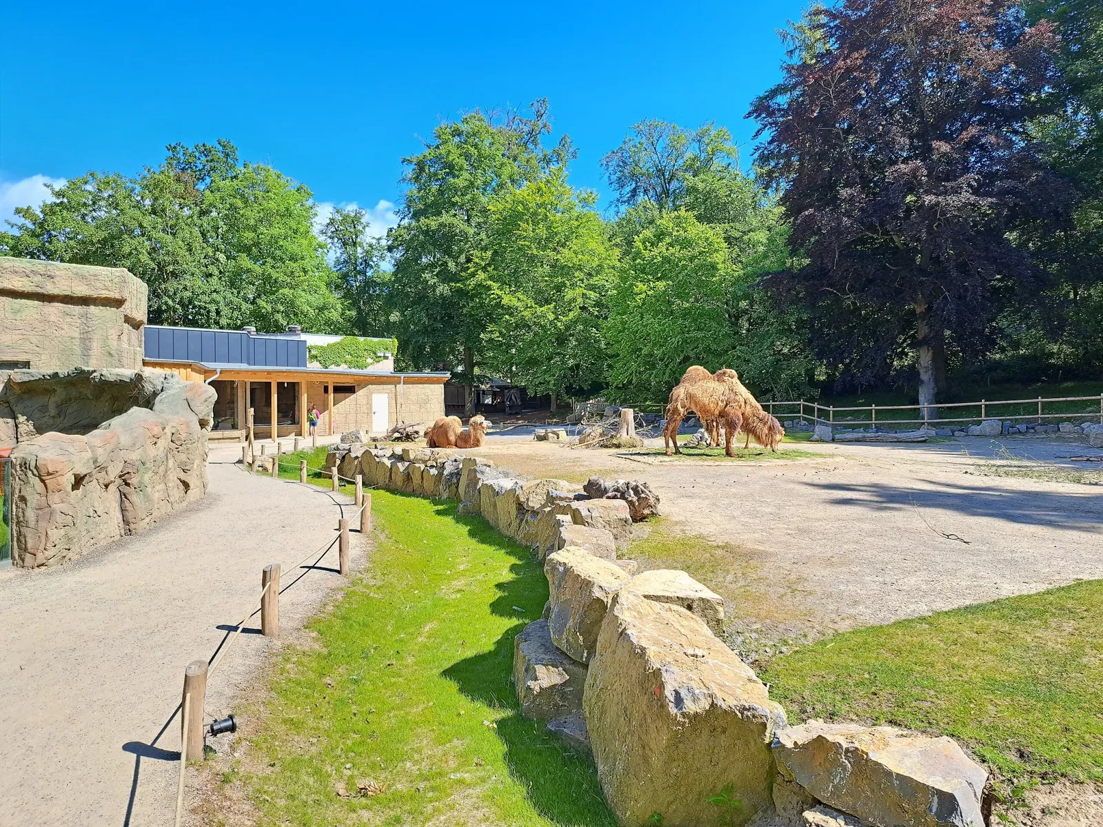 Osnabrück Zoo