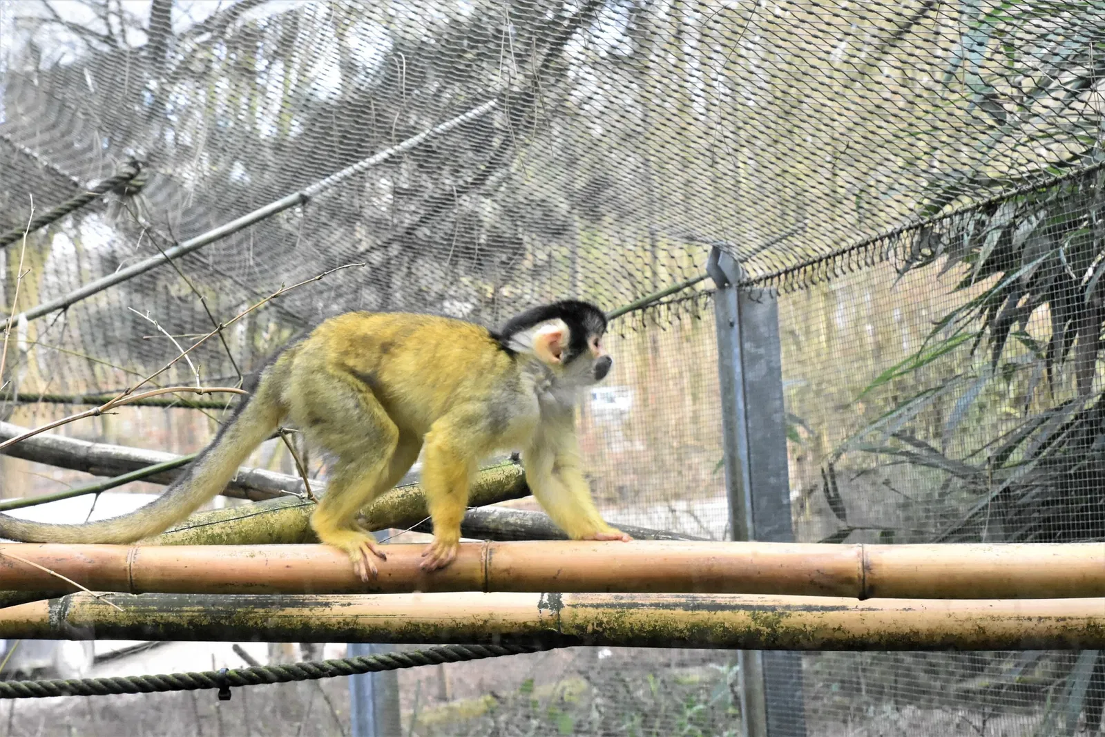 Zoo Osnabrück