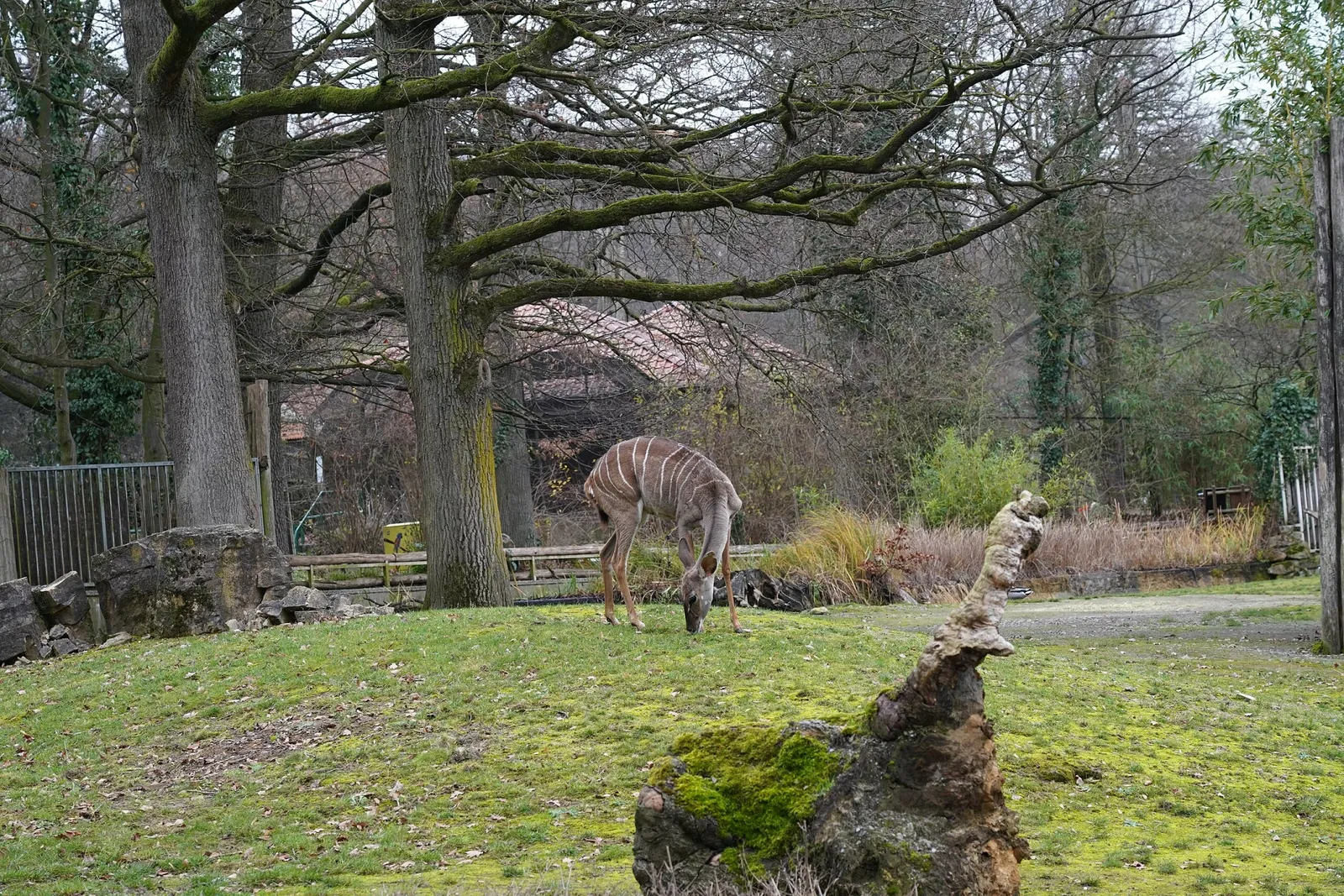 Zoo Osnabrück
