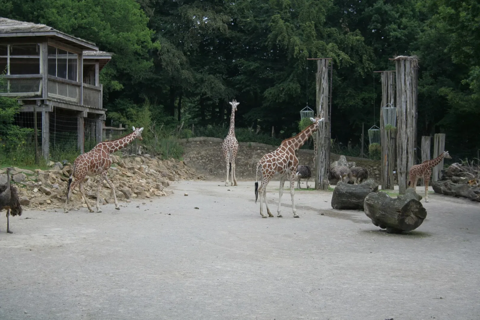 Zoo Osnabrück