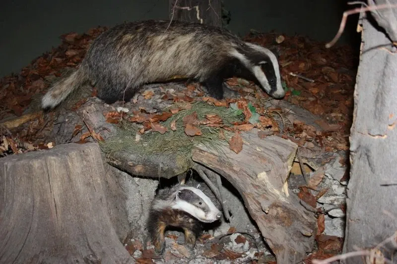 Museum am Schölerberg