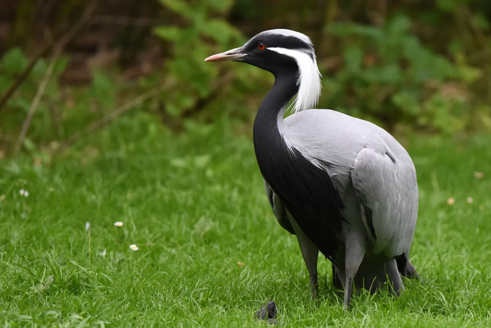 Tropiquarium de Servion
